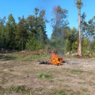 20230904_164806-1024x768 20230904_164806-1024x768