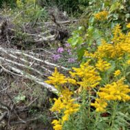 20230910_143637-1024x768 20230910_143637-1024x768