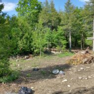 IMG_20220611_164326792_HDR-1024x768 IMG_20220611_164326792_HDR-1024x768