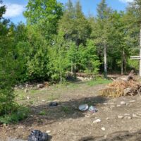 IMG_20220611_164326792_HDR-1024x768