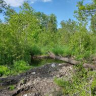 IMG_20220611_164640984_HDR-1024x768 IMG_20220611_164640984_HDR-1024x768