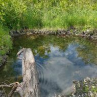 IMG_20220611_164656835_HDR-1024x768 IMG_20220611_164656835_HDR-1024x768