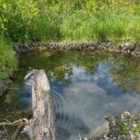 IMG_20220611_164656835_HDR-1024x768