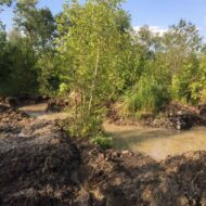 signal-2022-07-28-09-39-41-000-2-1024x768 signal-2022-07-28-09-39-41-000-2-1024x768